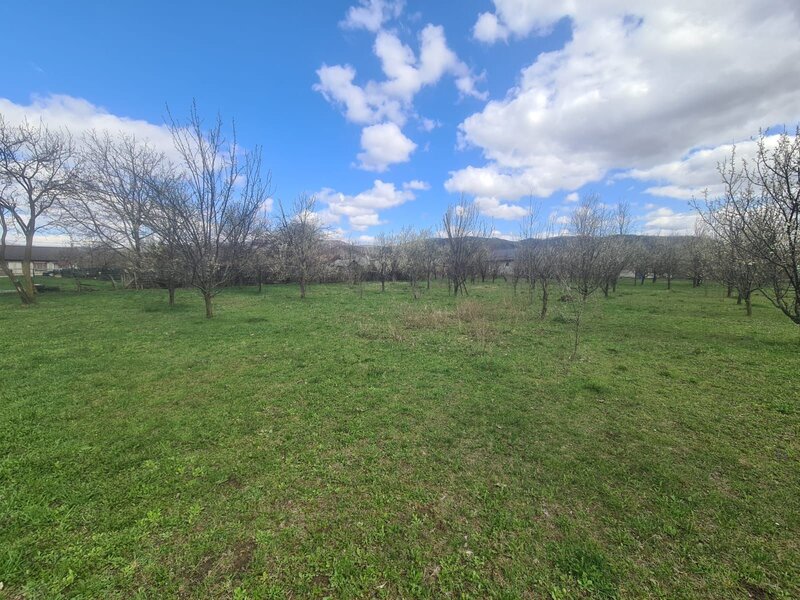 Teren de vanzare in Brebu - Zona Brebu Megiesesc
