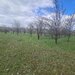 Teren de vanzare in Brebu - Zona Brebu Megiesesc