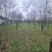 Teren de vanzare in Brebu - Zona Brebu Megiesesc
